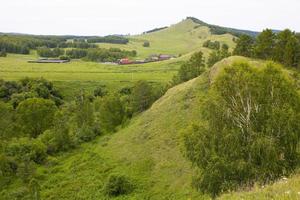 Mountains covered with green grass and forest on a summer day. photo