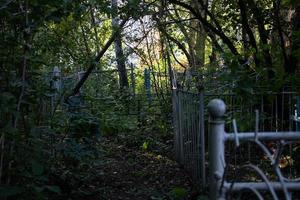 Grave in the old cemetery overgrown with tall grass. photo