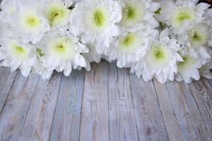 Flowers of delicate white chrysanthemums on a wooden background photo