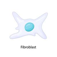 El fibroblasto es una célula en la dermis. ilustración vectorial vector