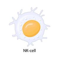 natural killer cells. vector illustration