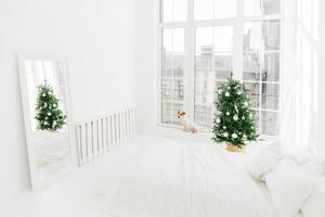 New Year interior. Spacious white bedroom with bed, decorated Christmas tree, mirror and jack russell terrier dog on windowsill. Pet waits for Santa Claus photo