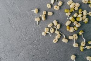 Grown mung beans sprouts spread over grey background, ready to cook. Free space in left corner for your information. View from above photo