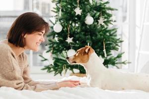 Animals, loyalty and people concept. Smiling brunette lady in oversized brown sweater plays with pedigree dog, lie on comfortable white bed against decorated New Year tree, enjoy Christmas eve photo