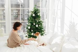 People, animals, relationships, winter holidays concept. Pleased woman holds paw of jack russell terrier dog, sit together in cozy bedroom on bed, decorate New Year tree, anticipate miracle. photo