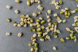 Sprouted mung beans isolated on grey textured background. Green soybeans sprouts. Healthy and wellness diet concept. Organic gram. photo