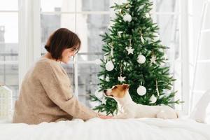 una foto lateral de una joven morena con un suéter marrón suelto sostiene patas de perro, se sientan juntos en una cama cómoda frente a una fiesta decorada durante las navidades y el año nuevo. ventana de fondo