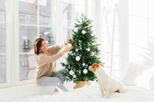 Cheerful woman in comfortable clothes decorates Christmas tree in modern spacious bedroom, looks with smile at pedigree dog sitting on bed, big window behind. New Year time, holiday preparation photo