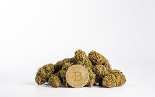 Golden bitcoin cryptocurrency with marijuana cannabis buds on a white background. photo