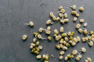 Flat lay of sprouted mung beans for culinary use, isolated over grey background. Fresh organic vegan food. Healthy nutrition concept photo