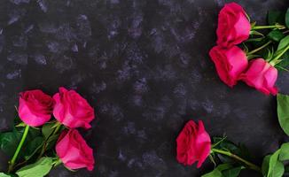 Bouquet of pink roses on dark background. Top view photo