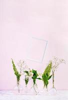 Flowers and plants in flask with frame. Beautiful spring background with flowers in vase. photo