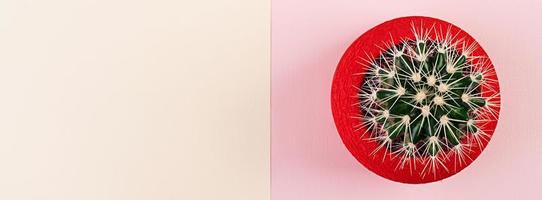 Banner with isolated cactus in red pot. Top view. photo