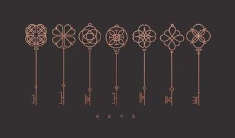Set of key collection in modern line style drawing on bronze background. vector