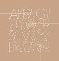 Art Deco alphabet with letters and numbers drawing on beige background vector