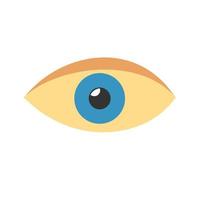 Eye Flat Multicolor Icon vector