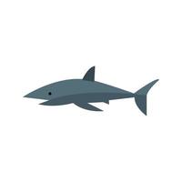 Shark I Flat Multicolor Icon vector