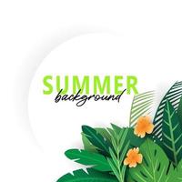 tropical summer background with leaf summer vector