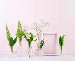 Flowers and plants in flask with frame. Beautiful spring background with flowers in vase. photo