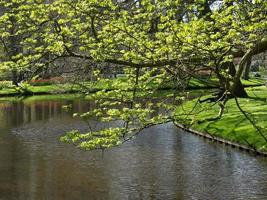 tiempo de primavera en los países bajos foto