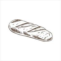 Vector hand drawn illustration of loaf of bread. Brown and white drawing isolated on white background. Sketch icon and bakery element for print, web, mobile and infographics.