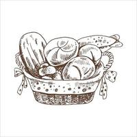 Vector hand drawn illustration of wicker basket with bread. Brown and white pastry  drawing isolated on white background. Sketch icon and bakery element for print, web, mobile and infographics.