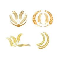 Wheat logo vector icon illustration