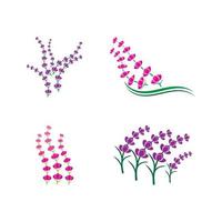 Fresh Lavender flower logo vector