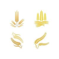 Wheat logo vector icon illustration