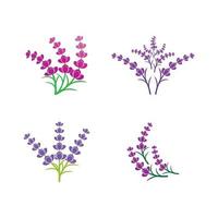 vector de logotipo de flor de lavanda fresca