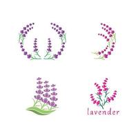 vector de logotipo de flor de lavanda fresca