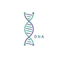 DNA logo icon. Structure molecule. Vector illustration