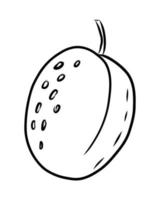 VECTOR LINEAR DRAWING OF AN APRICOT ON A WHITE BACKGROUND