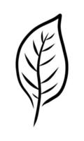 ISOLATED ON A WHITE BACKGROUND CONTOUR DRAWING OF A PLANT LEAF vector
