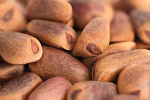 Pine nuts closeup photo