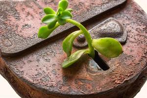 Old lock with a key photo