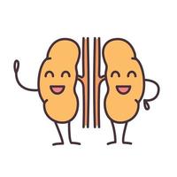 Smiling human kidneys emoji color icon. Healthy urinary tract. Urinary system health. Isolated vector illustration