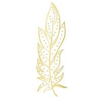 Graceful beautiful golden feather with dots isolated vector