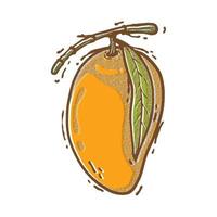 fresh mango sketch. hand draw technique. full color vector