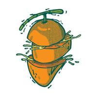 sliced mango. hand draw technique. full color vector