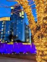 charlotte nc early morning decorated with holiday lights photo