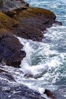 coastline near newport rhode island photo