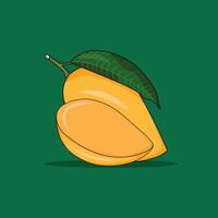 vector de fruta sobre fondo blanco