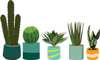 5 plants isolated on white background vector