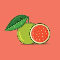 fruit vector on white background