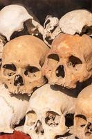Pile of human skulls. photo