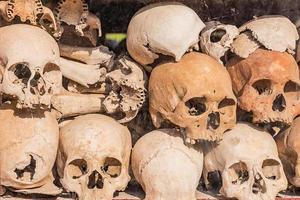 Pile of human skulls. photo