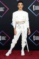 LOS ANGELES - NOV 11  James Charles at the Peoples Choice Awards 2018 at the Barker Hanger on November 11, 2018 in Santa Monica, CA photo