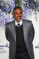 LOS ANGELES   JUL 26 - Rick Fox at the Hallmark TCA Summer 2018 Party on the Private Estate on July 26, 2018 in Beverly Hills, CA photo