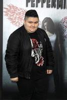 LOS ANGELES AUG 28 - Jovan Armand at the Peppermint World Premiere at the Regal Cinemas L A LIVE on August 28, 2018 in Los Angeles, CA photo